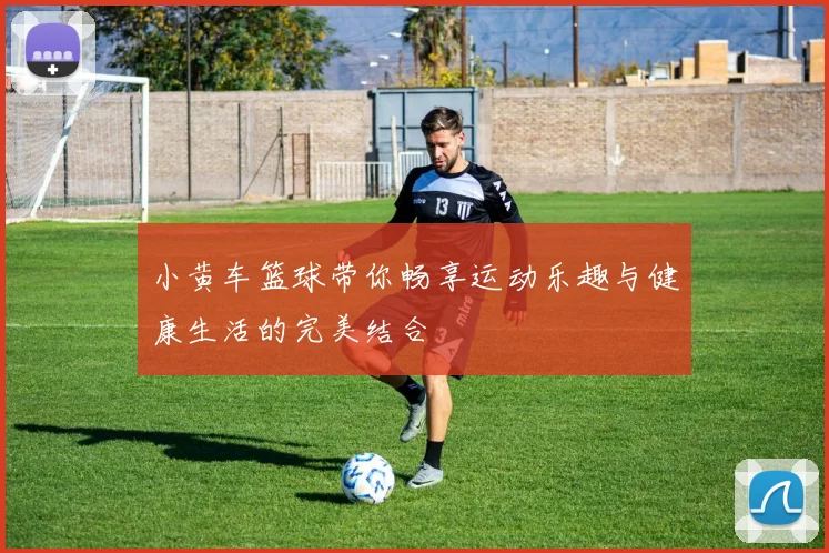 小黄车篮球带你畅享运动乐趣与健康生活的完美结合