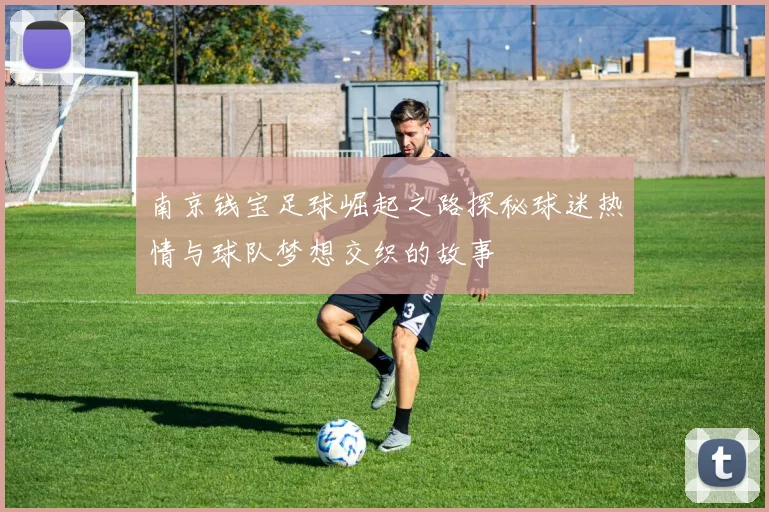 南京钱宝足球崛起之路探秘球迷热情与球队梦想交织的故事