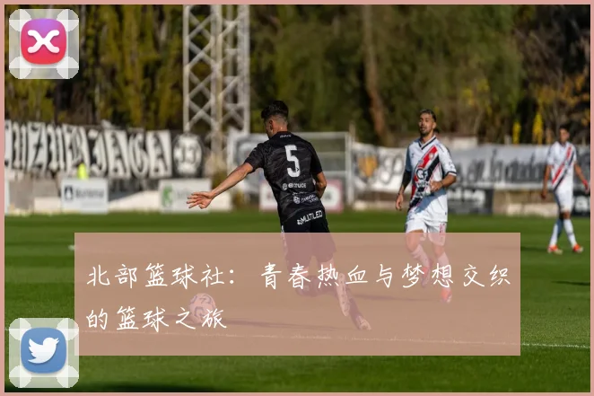 北部篮球社：青春热血与梦想交织的篮球之旅